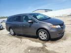2015 Honda Odyssey Exl за продажба в Louisville, KY - Hail