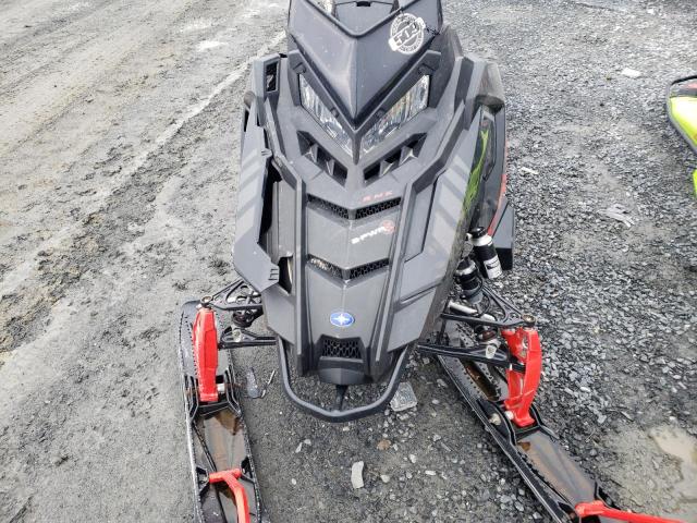 2020 POLA PRO RMK
