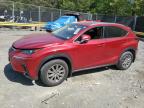 2020 Lexus Nx 300 de vânzare în Waldorf, MD - Front End