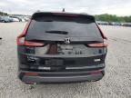 Memphis, TN에서 판매 중인 2024 Honda Cr-V Sport   - Water/Flood