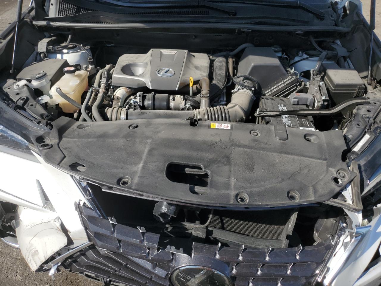 2020 Lexus Nx 300 VIN: JTJDARBZ9L5008746 Lot: 52830385