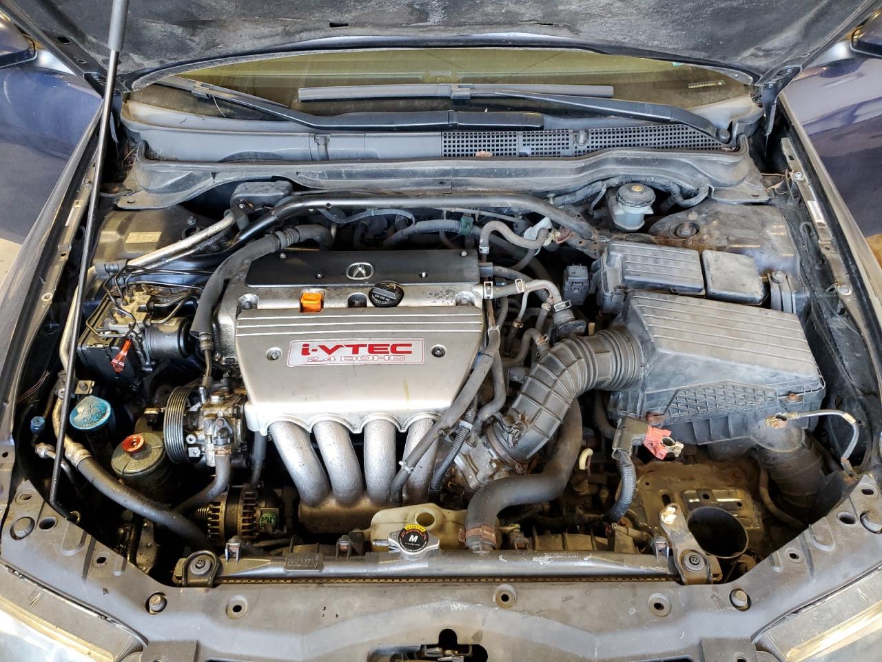 2006 Acura Tsx VIN: JH4CL96846C020781 Lot: 52631015