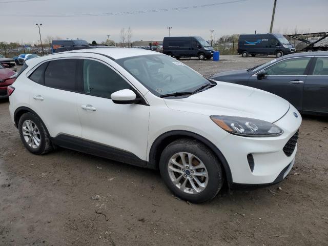  FORD ESCAPE 2020 Белый