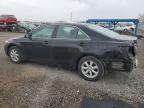 2009 TOYOTA CAMRY BASE for sale at Copart ON - LONDON