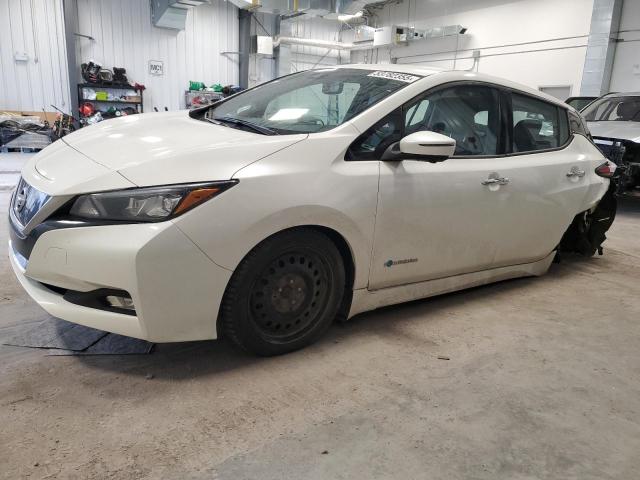 2019 NISSAN LEAF S à vendre chez Copart ON - OTTAWA
