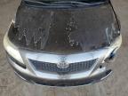 2010 Toyota Corolla Base за продажба в Phoenix, AZ - Front End
