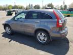 2010 Honda Cr-V Exl იყიდება Denver-ში, CO - Front End