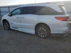2023 Honda Odyssey Exl for Sale in Mercedes, TX - Water/Flood
