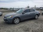 2008 HONDA ACCORD EX à vendre chez Copart OR - EUGENE