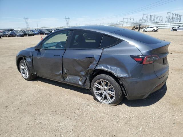  TESLA MODEL Y 2023 Szary