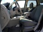 2009 Ford Escape Xlt for Sale in Lebanon, TN - Hail