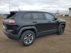 2019 Jeep Cherokee Trailhawk на продаже в Davison, MI - Top/Roof