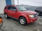2010 Ford Escape Xlt zu verkaufen in Elmsdale, NS - Minor Dent/Scratches