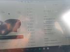 2023 Tesla Model Y    for Sale in Wilmington, CA - Front End