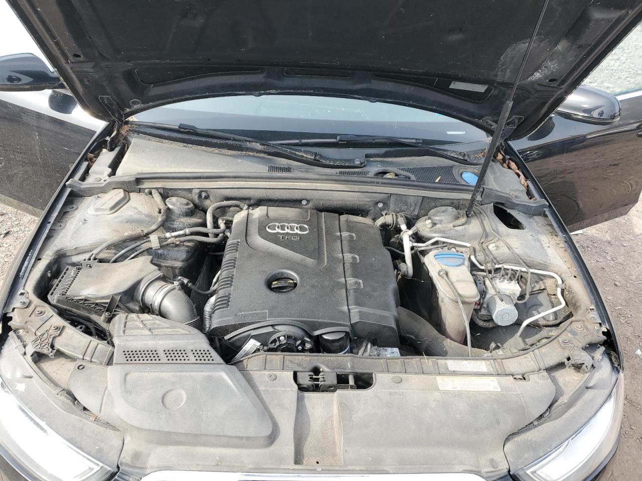 2015 Audi A4 Premium Plus VIN: WAUFFAFL3EN022484 Lot: 52680435