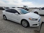 2013 Ford Fusion Se Hybrid на продаже в Earlington, KY - Hail