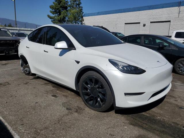  TESLA MODEL Y 2023 Белый