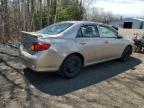 2010 Toyota Corolla Base for Sale in Cookstown, ON - Rear End