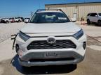 2023 Toyota Rav4 Xle Premium en Venta en Haslet, TX - Rear End