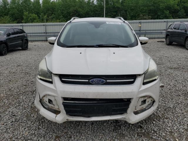  FORD ESCAPE 2014 White