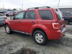 2010 Ford Escape Xlt zu verkaufen in Elmsdale, NS - Minor Dent/Scratches