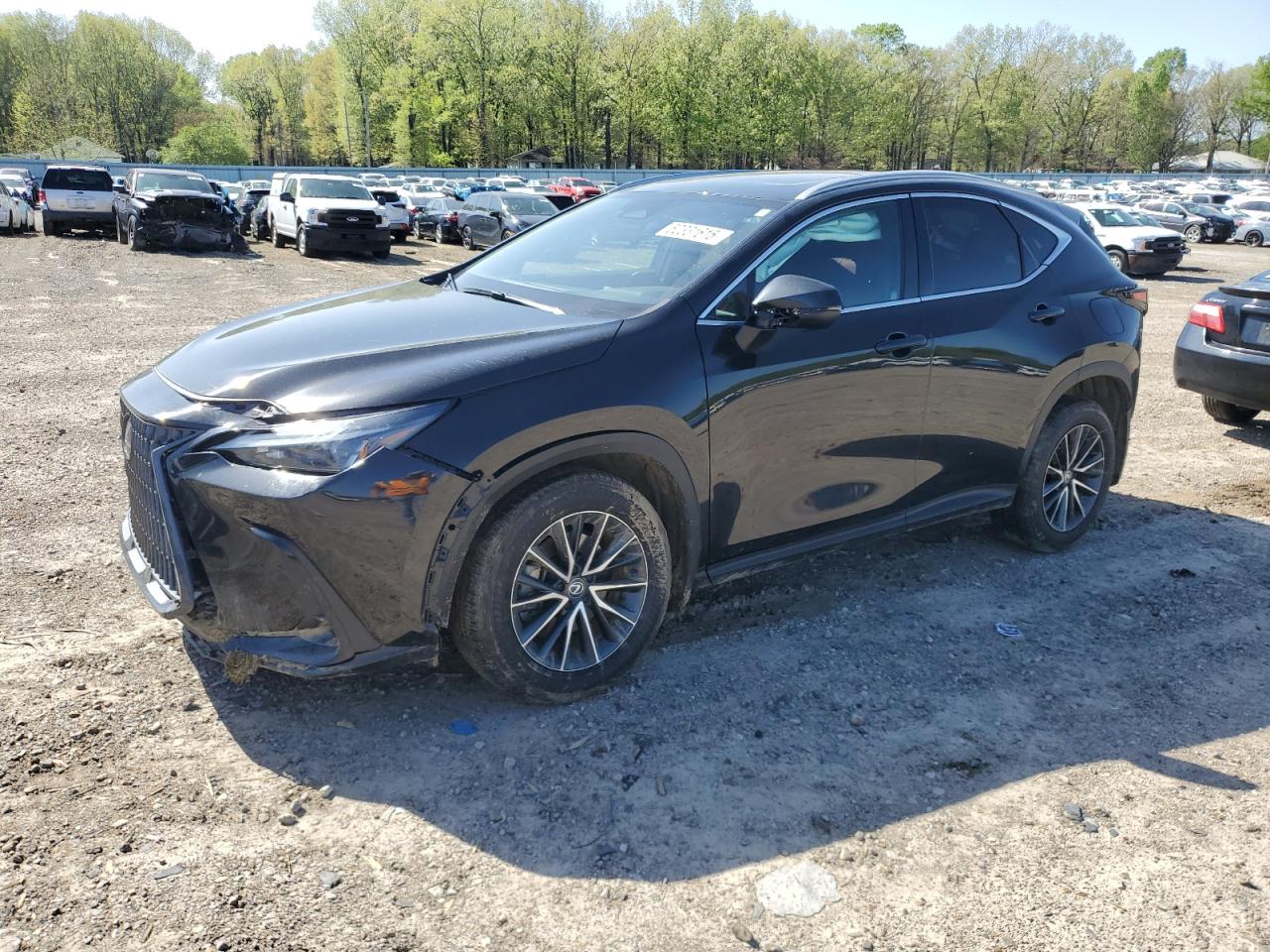 2024 Lexus Nx 250 Base იყიდება Conway-ში, AR - Front End