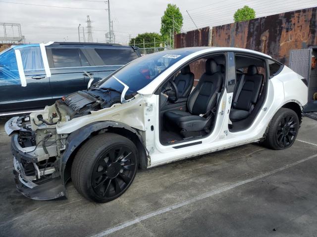  TESLA MODEL Y 2023 Biały