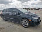 2024 Honda Odyssey Exl на продаже в Grand Prairie, TX - Side