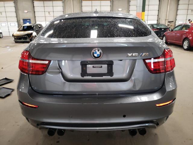 Parquets BMW X6 2013 Gray