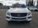 2015 Mercedes-Benz Ml 250 Bluetec en Venta en Miami, FL - Side