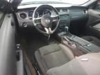 2014 Ford Mustang  for Sale in Spartanburg, SC - Front End