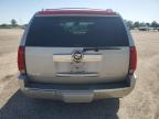 2007 Cadillac Escalade Luxury за продажба в Newton, AL - Front End