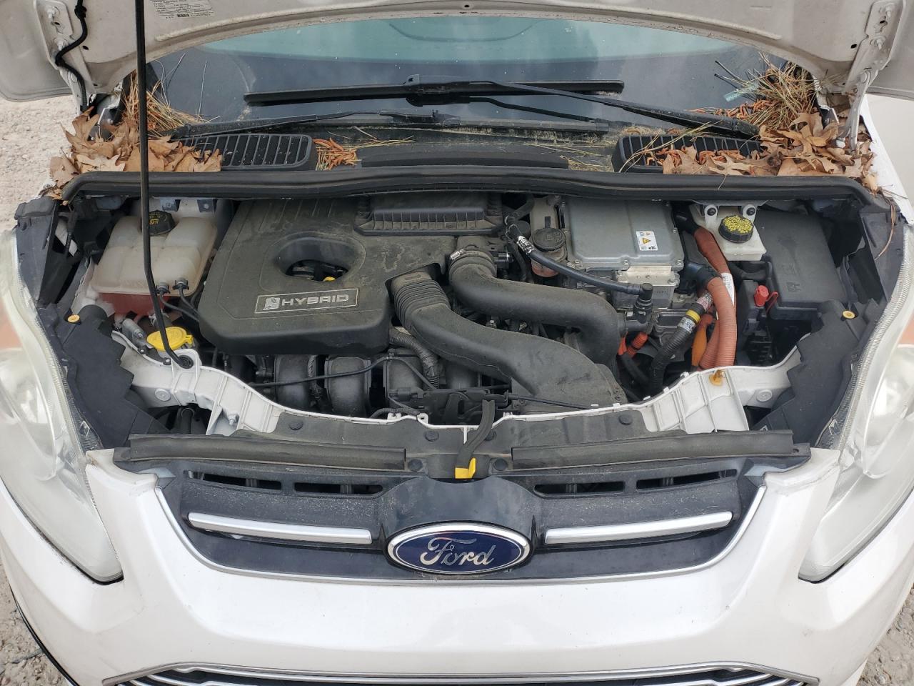 2016 Ford C-Max Se VIN: 1FADP5AU0GL117071 Lot: 53881155