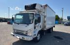 2017 Isuzu Nqr  for Sale in Houston, TX - Normal Wear