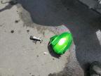 2024 Kawasaki Er500  zu verkaufen in Littleton, CO - Rollover