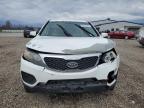 Central Square, NY에서 판매 중인 2011 Kia Sorento Base - Front End