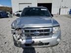 2012 Ford Escape Xlt იყიდება Reno-ში, NV - Front End