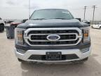 2023 Ford F150 Supercrew for Sale in Andrews, TX - Side
