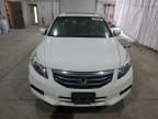 2011 Honda Accord Exl en Venta en Albany, NY - Rear End