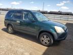 2003 Honda Cr-V Ex იყიდება Blaine-ში, MN - Minor Dent/Scratches