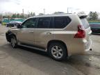 2010 Lexus Gx 460 Premium na sprzedaż w Denver, CO - Front End