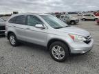 2010 Honda Cr-V Exl   zu verkaufen in Earlington, KY - Hail