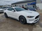2021 Ford Mustang  за продажба в Louisville, KY - Hail