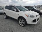 2014 Ford Escape Titanium на продаже в Earlington, KY - Hail