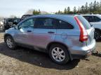 2007 HONDA CR-V EX for sale at Copart ON - TORONTO