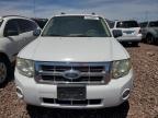 2008 Ford Escape Xlt zu verkaufen in Phoenix, AZ - Minor Dent/Scratches
