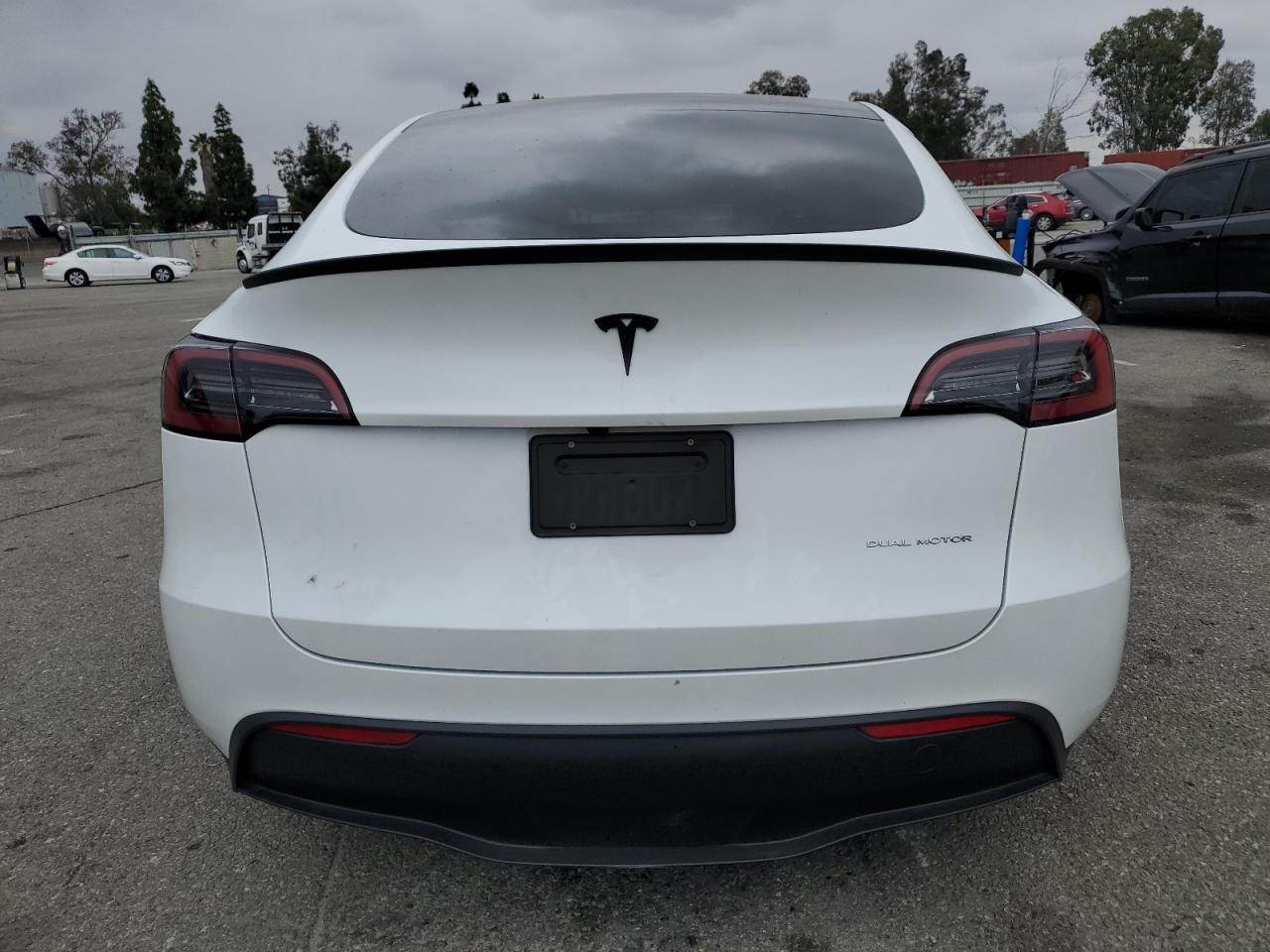 2024 Tesla Model Y VIN: 7SAYGDEE1RF191665 Lot: 53955025