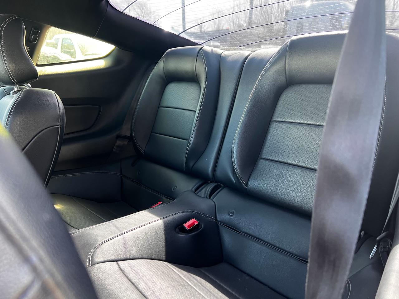 2019 Ford Mustang Gt VIN: 1FA6P8CF8K5118569 Lot: 55095225