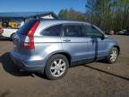 2007 Honda Cr-V Exl zu verkaufen in East Granby, CT - Minor Dent/Scratches