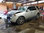 2011 Ford Escape Limited للبيع في Ebensburg، PA - Front End